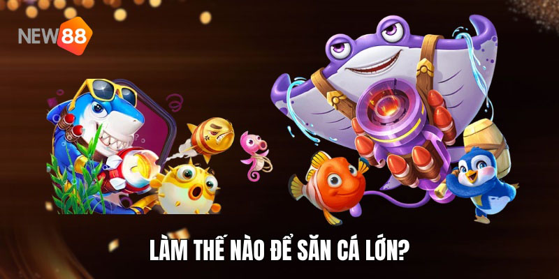 Làm thế nào để săn cá lớn?
